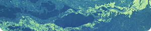 Hengye, 산업 폐수 처리 역량 강화